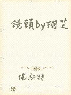 镜头by栩芝