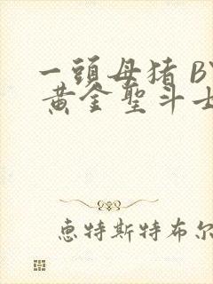 一头母猪 BY 黄金圣斗士