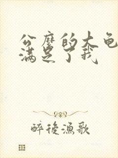 公么的大龟强大满足了我