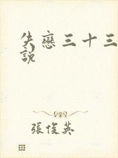 失恋三十三天小说封面