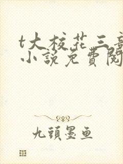 t大校花三部曲小说免费阅读全文