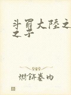 斗罗大陆之七怪之子封面