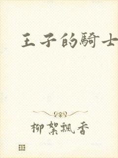 王子的骑士封面