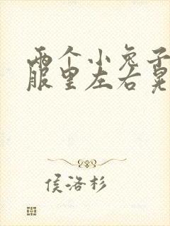 两个小兔子在衣服里左右晃封面