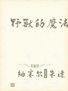 野兽的魔法师封面