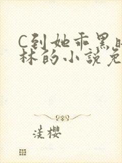 C到她乖黑暗森林的小说免费