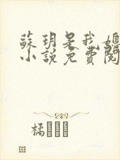 苏玥是我媳妇的小说免费阅读全文