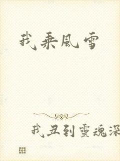 我乘风雪