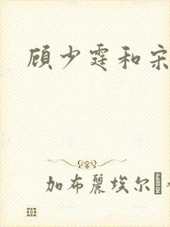 顾少霆和宋斯曼