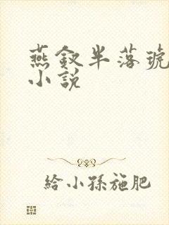 燕钗半落琥珀糖小说