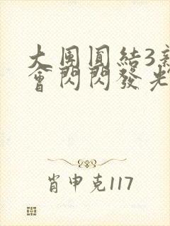 大团圆结3亲情会闪闪发光