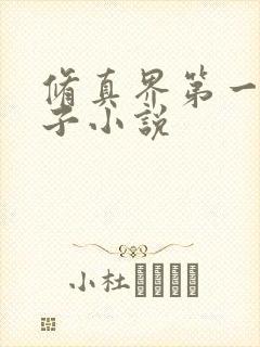 修真界第一病秧子小说