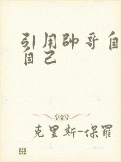 引用帅哥自己玩自己封面