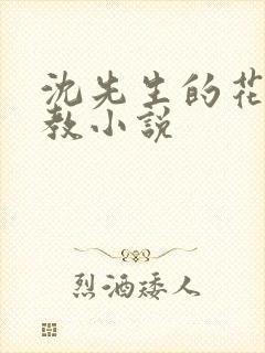 沈先生的花式调教小说封面