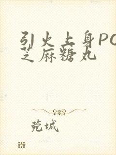 引火上身POP芝麻糖丸