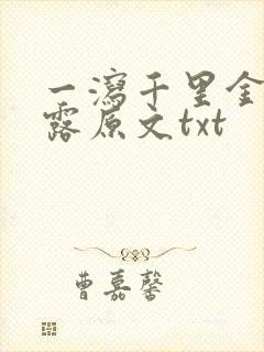 一泻千里金银花露原文txt