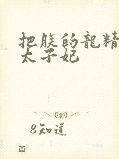 把朕的龙精含h太子妃封面