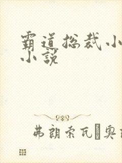 霸道总裁小娇妻小说