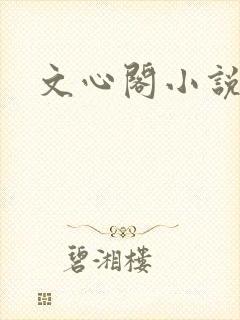 文心阁小说