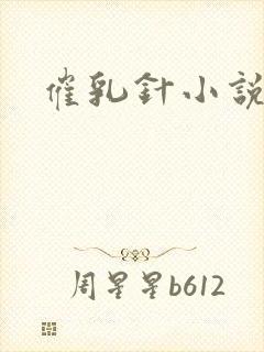 催乳针小说