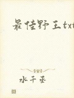 最佳野王txt封面