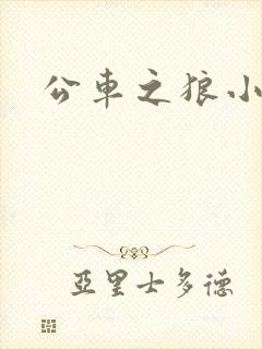 公车之狼小说