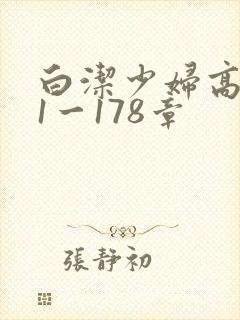 白洁少妇高义第1一178章