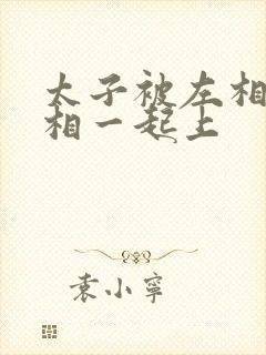 太子被左相和右相一起上