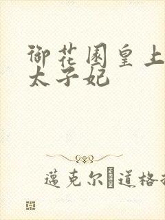 御花园皇上撞着太子妃封面