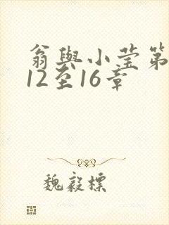 翁与小莹第十部12至16章封面