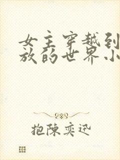 女主穿越到很开放的世界小说封面