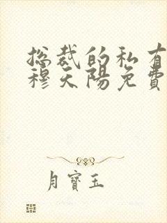 总裁的私有宝贝穆天阳免费