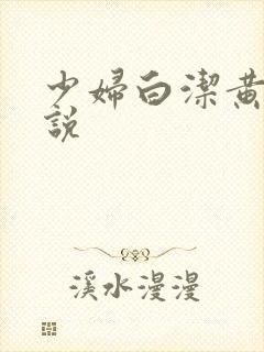 少妇白洁黄色小说