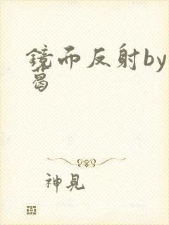 镜面反射by九葛