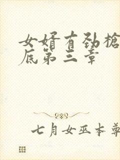 女婿有劲枪枪到底第三章