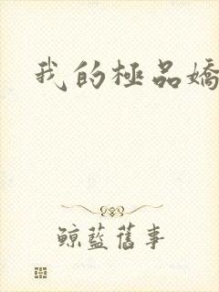 我的极品娇妻封面