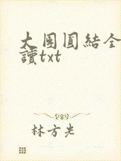 大团圆结全文阅读txt