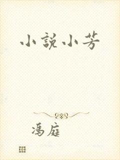 小说小芳