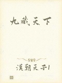 九藏天下