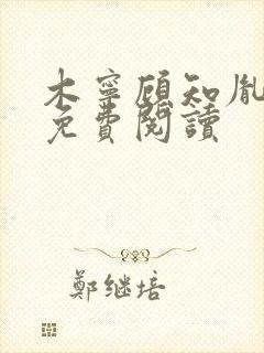 木宁顾知胤小说免费阅读封面