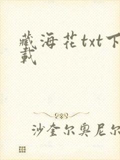 藏海花txt下载
