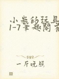 小米的玩具日记1-7笔趣阁有声