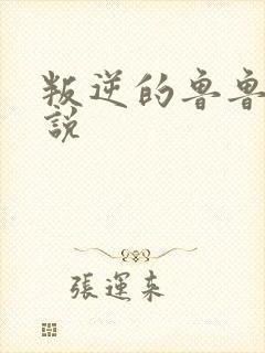 叛逆的鲁鲁修小说封面