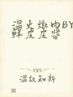 温火炖肉BY海鲜皮皮酱