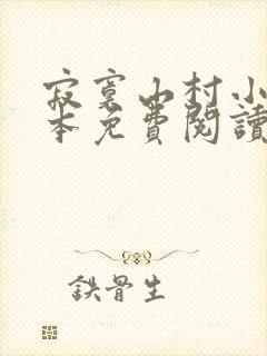 寂寞山村小说全本免费阅读封面