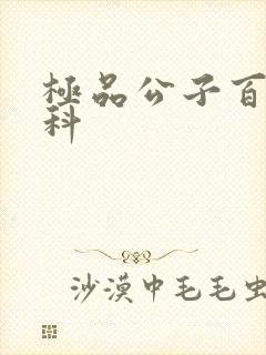 极品公子百度百科