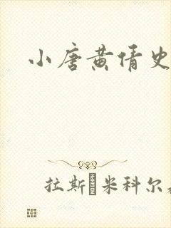 小唐黄倩史