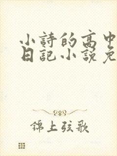 小诗的高中成长日记小说免费阅读封面