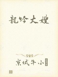 龙吟大嫂封面