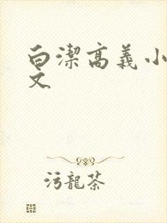 白洁高义小说全文